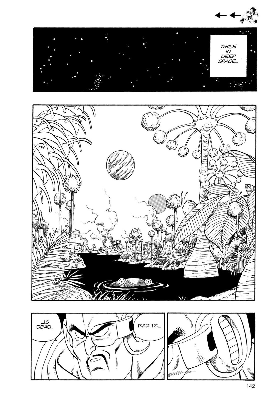 Chapter 10 — Dragon Ball Z 10 — Page 9