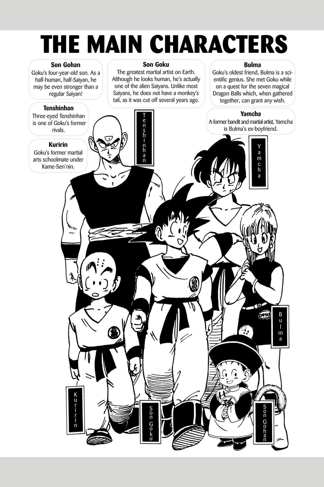 Chapter 11 — Dragon Ball Z 11 — Page 5