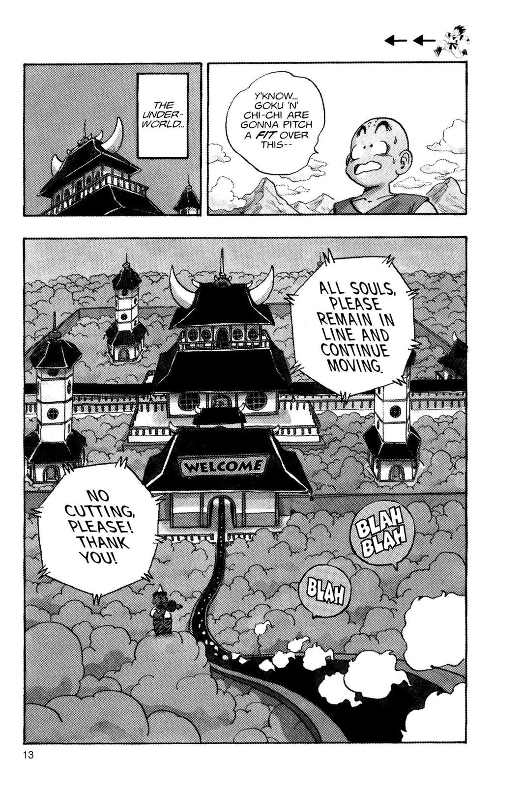 Chapter 11 — Dragon Ball Z 11 — Page 14