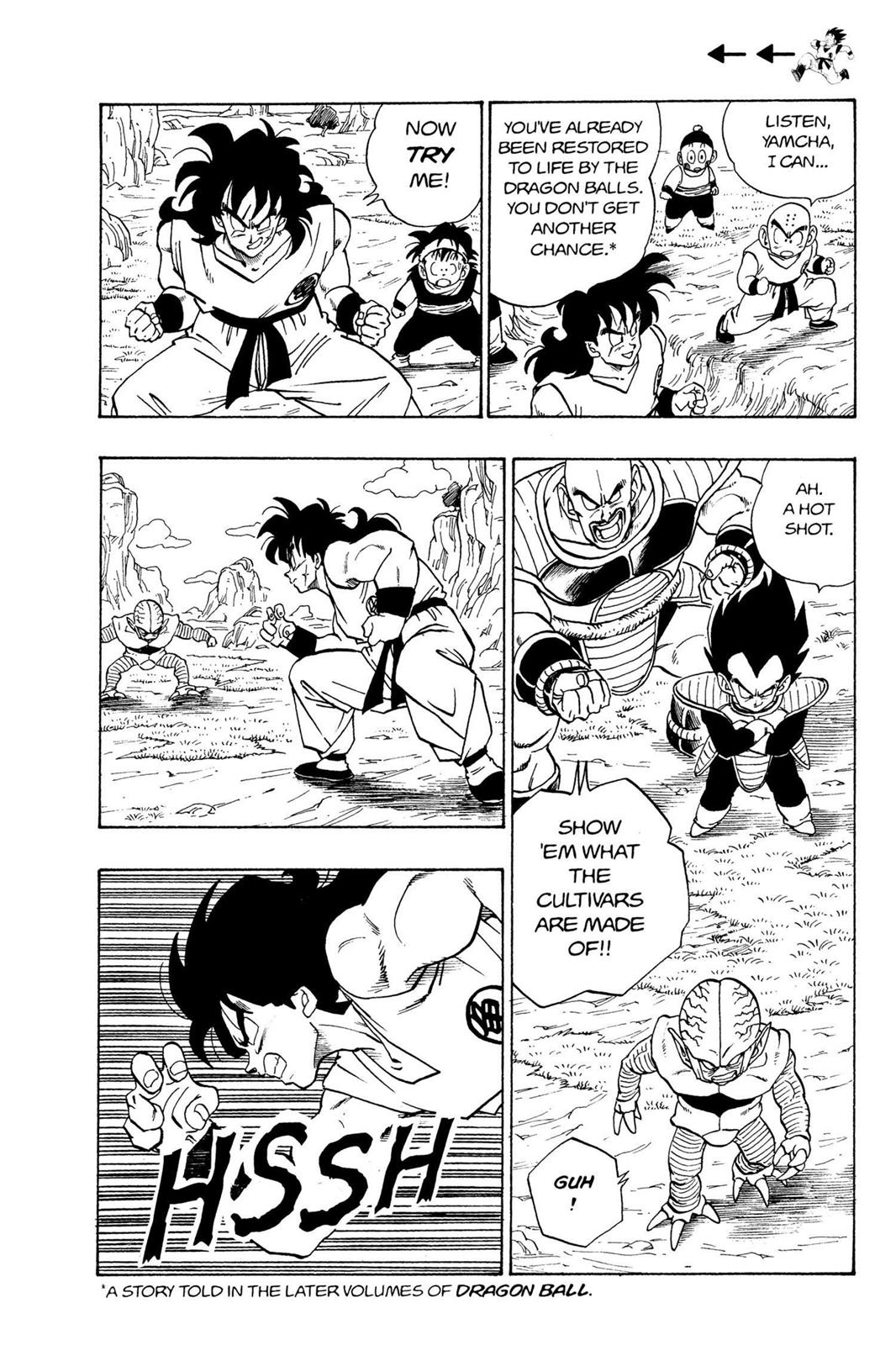Chapter 21 — Dragon Ball Z 21 — Page 5