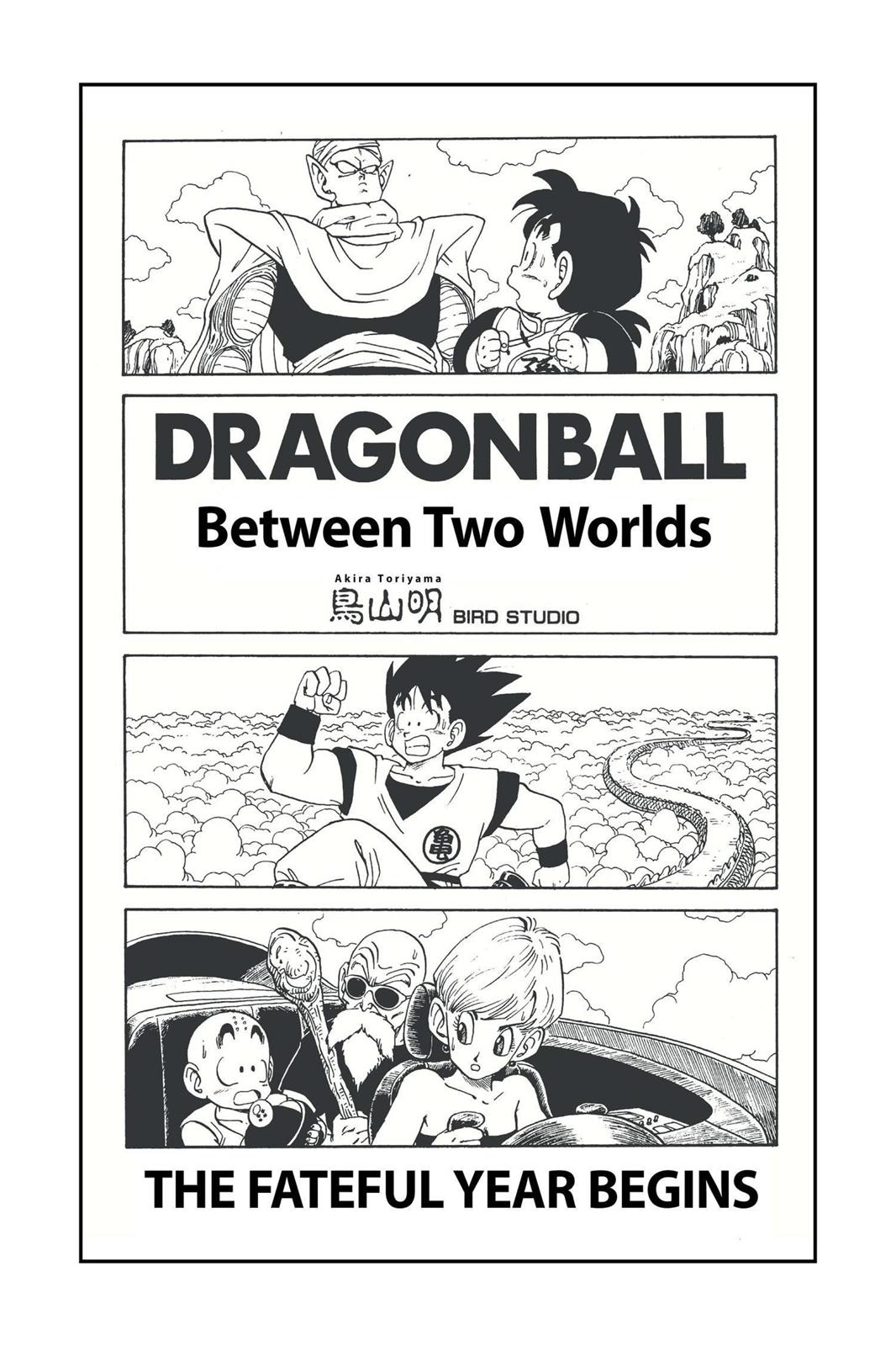 Chapter 22 — Dragon Ball Z 22 — Page 22