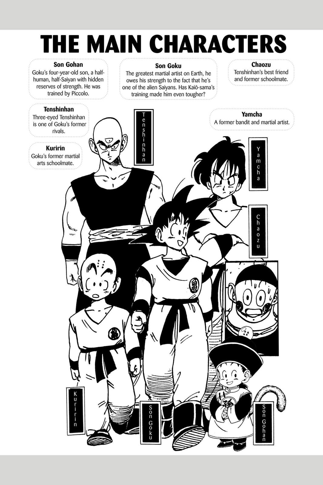 Chapter 23 — Dragon Ball Z 23 — Page 5