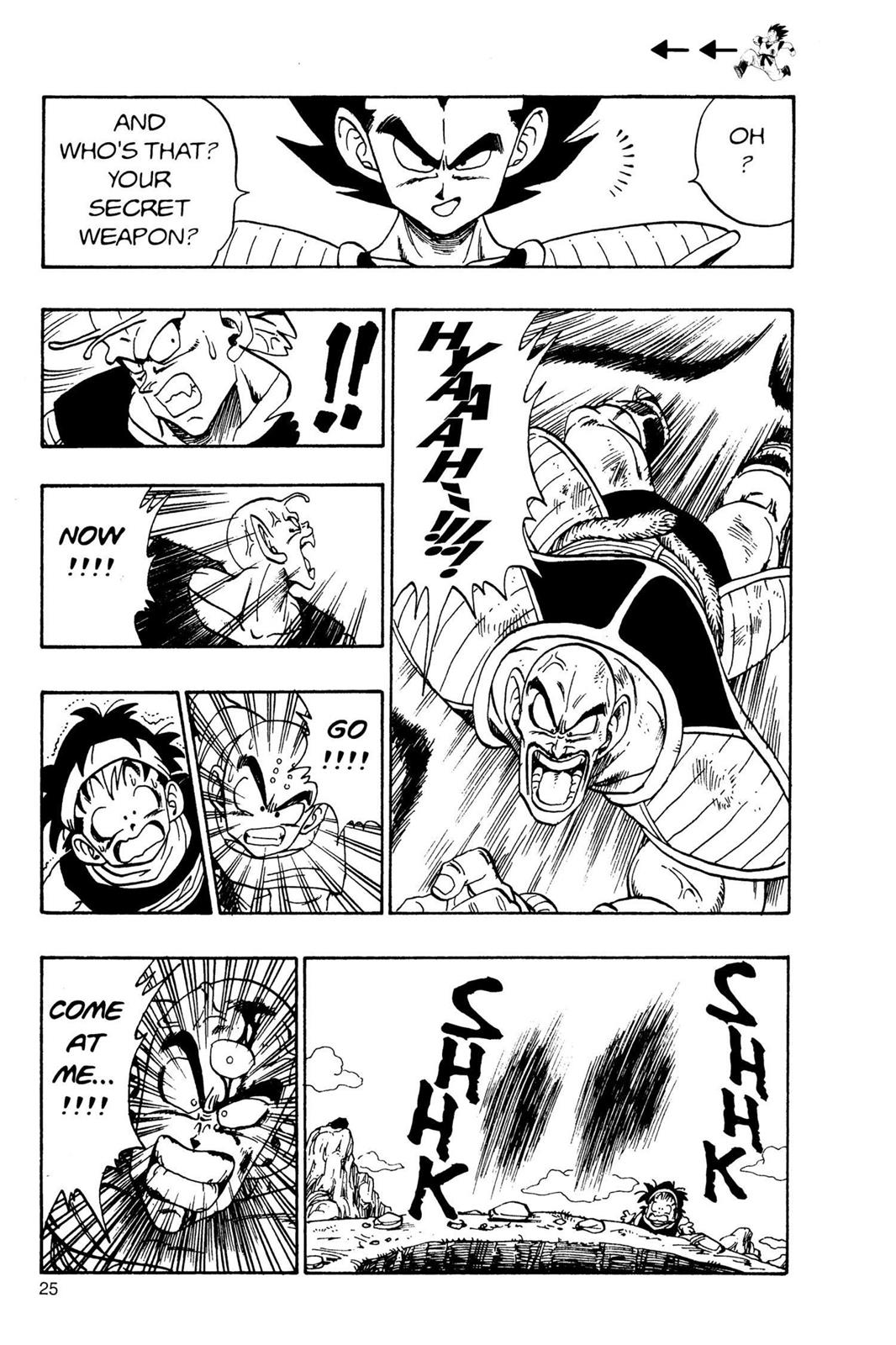 Chapter 24 — Dragon Ball Z 24 — Page 4