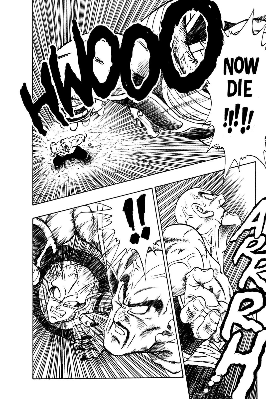 Chapter 24 — Dragon Ball Z 24 — Page 5