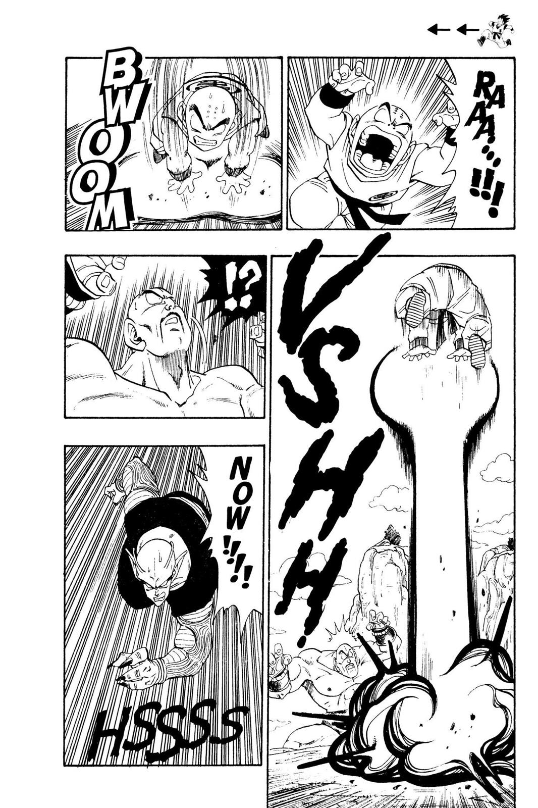 Chapter 26 — Dragon Ball Z 26 — Page 11