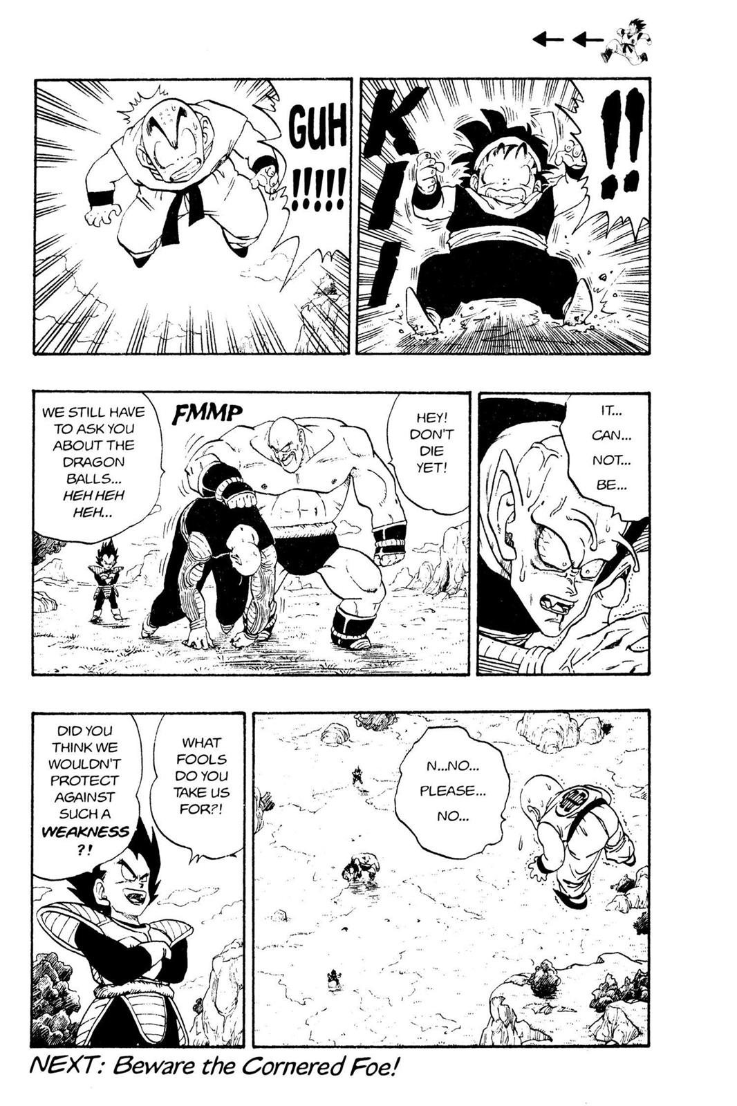 Chapter 26 — Dragon Ball Z 26 — Page 14