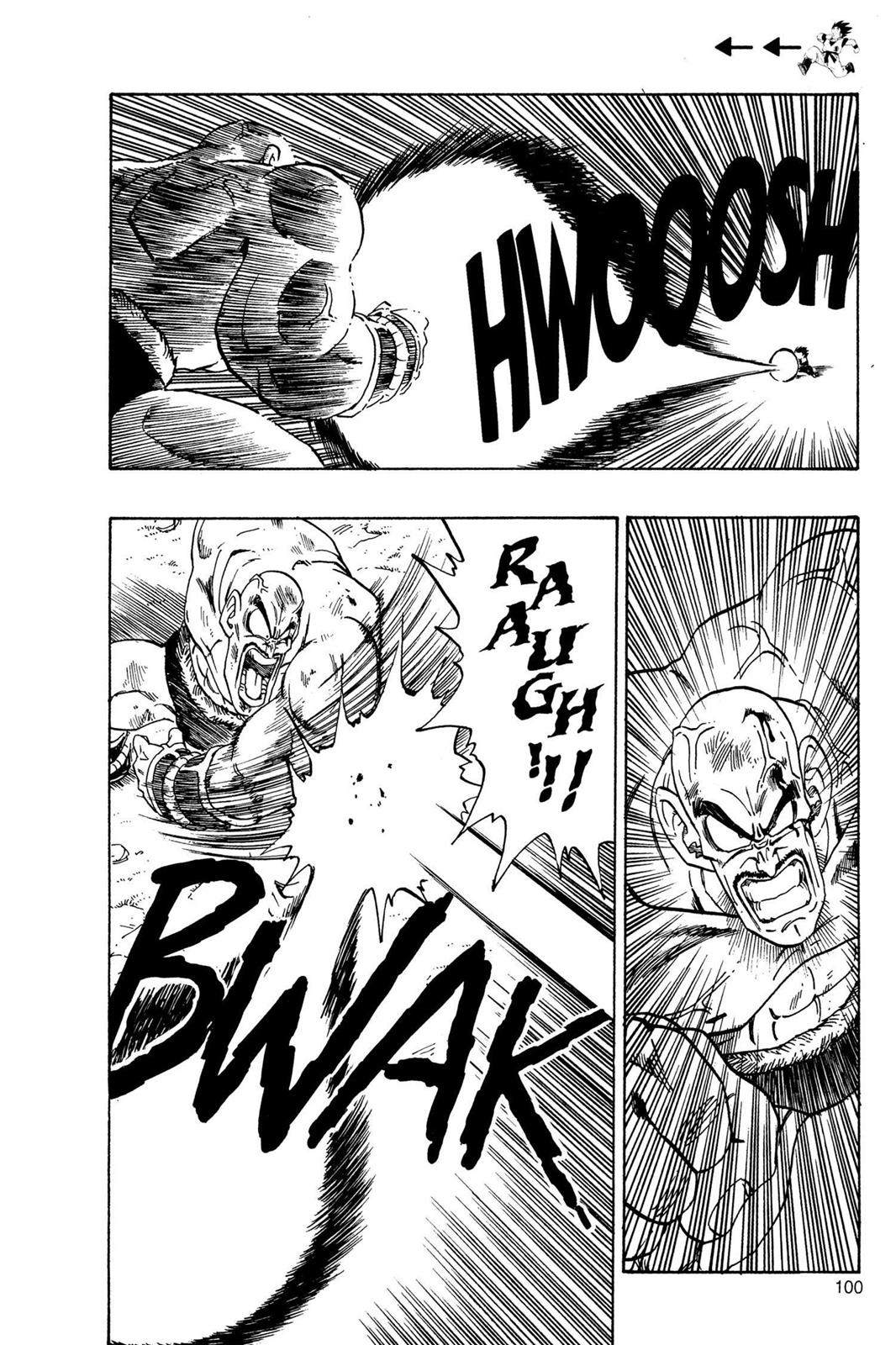 Chapter 29 — Dragon Ball Z 29 — Page 9
