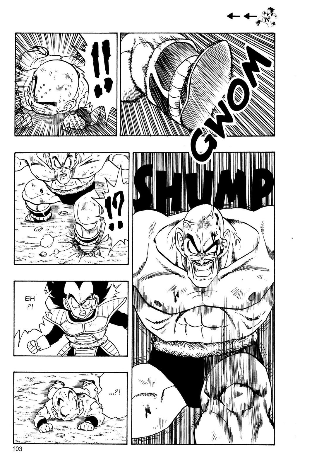 Chapter 29 — Dragon Ball Z 29 — Page 12