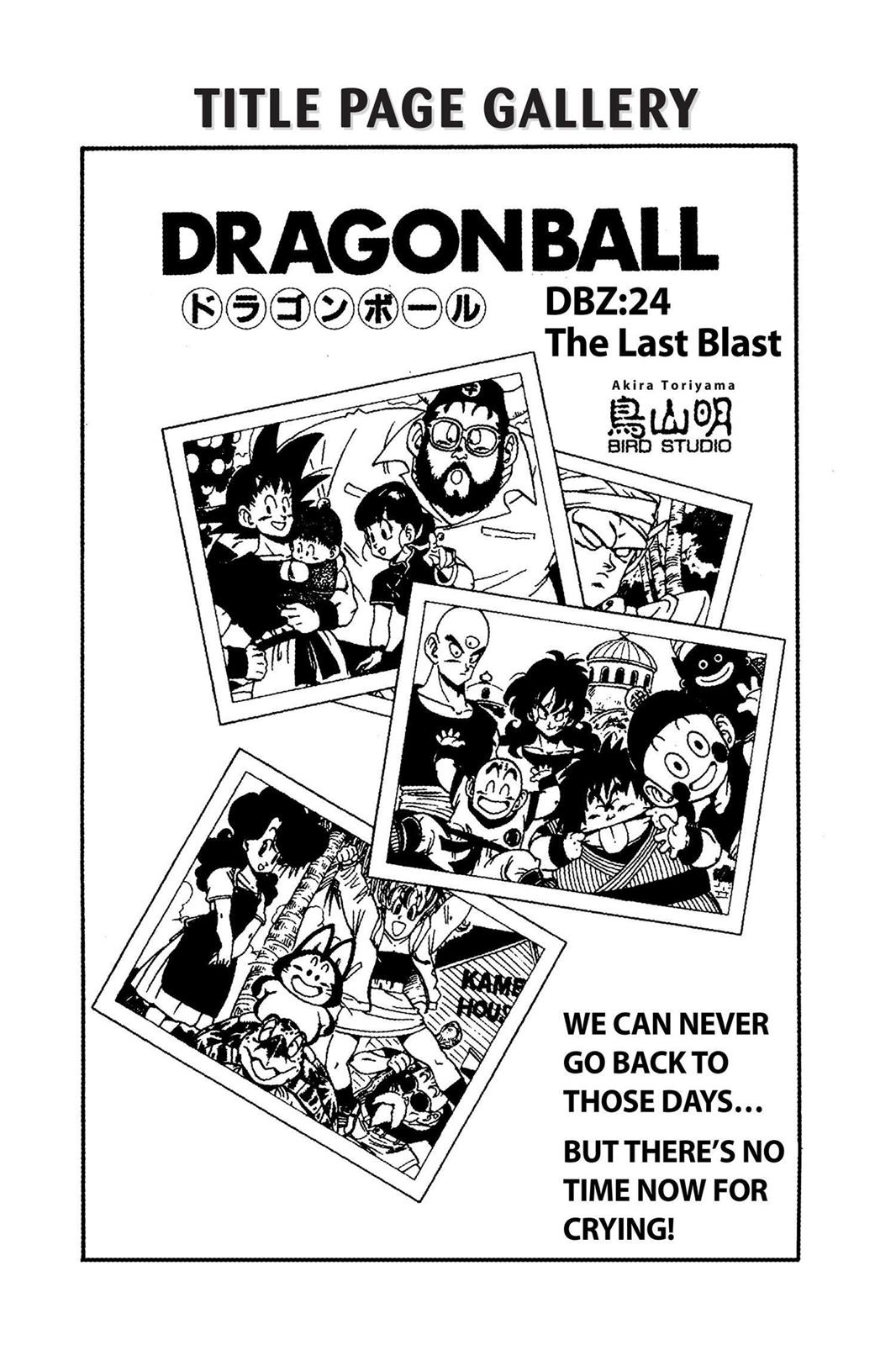 Chapter 34 — Dragon Ball Z 34 — Page 15