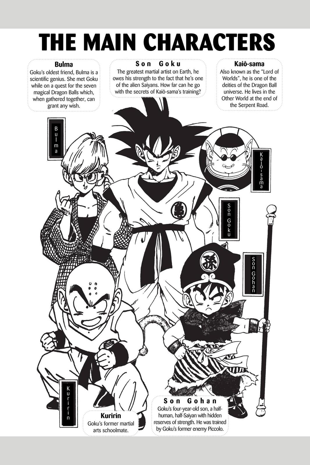 Chapter 35 — Dragon Ball Z 35 — Page 5