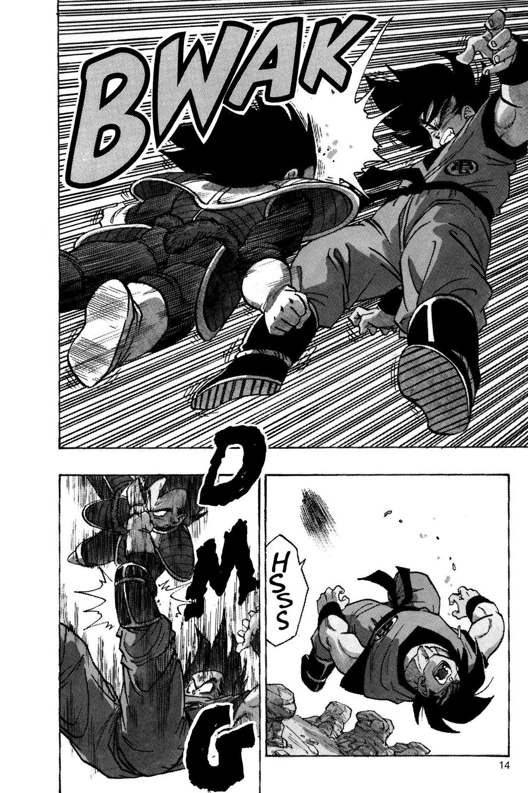 Chapter 35 — Dragon Ball Z 35 — Page 15
