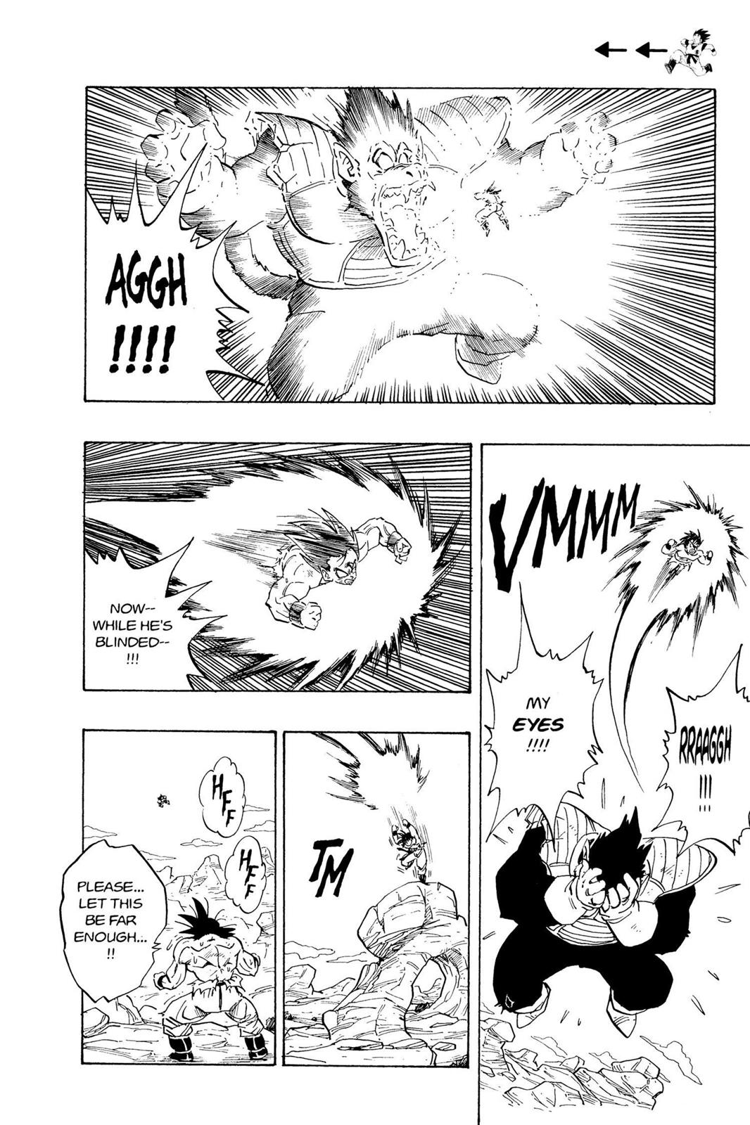 Chapter 39 — Dragon Ball Z 39 — Page 13