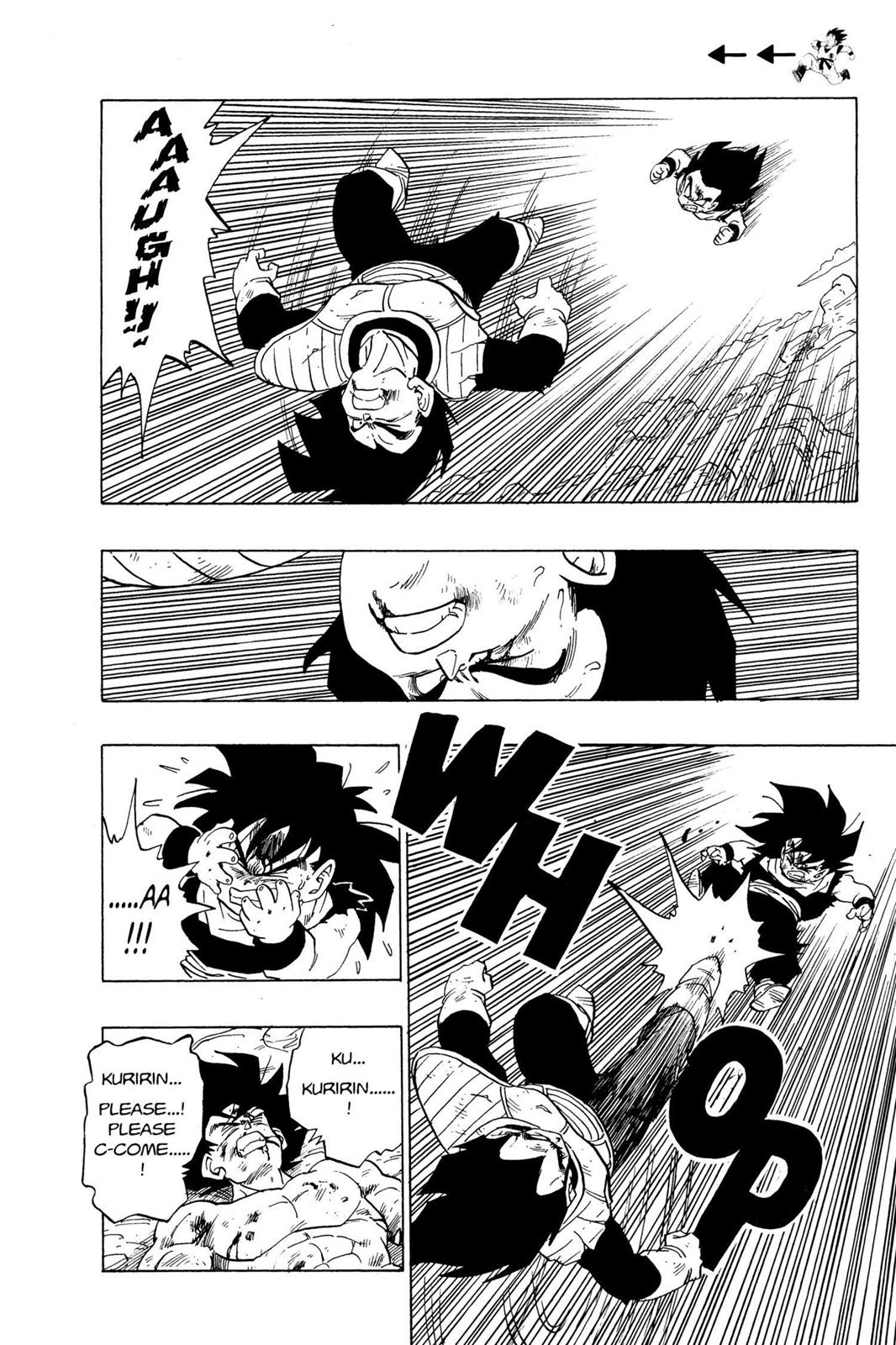 Chapter 42 — Dragon Ball Z 42 — Page 13