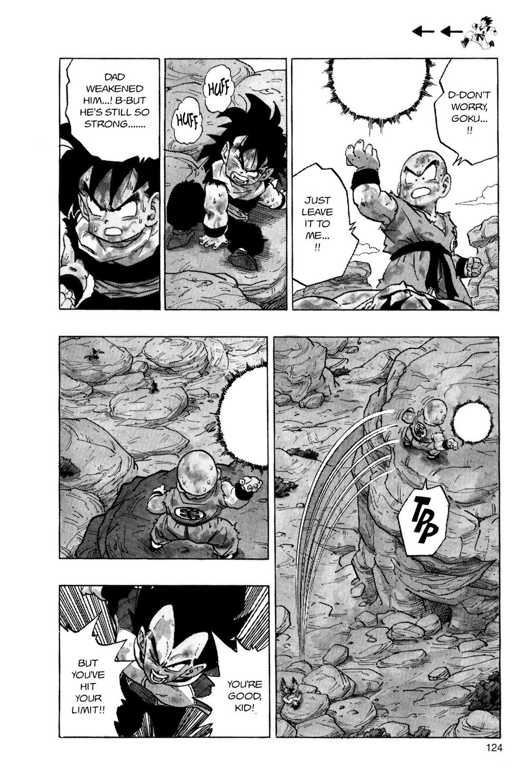 Chapter 43 — Dragon Ball Z 43 — Page 5