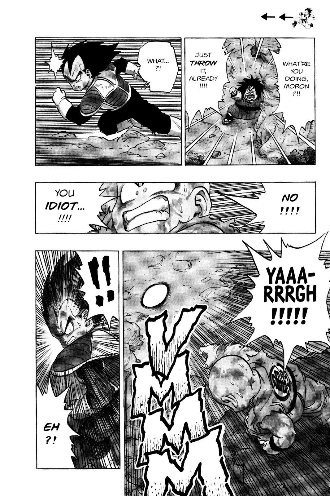 Chapter 43 — Dragon Ball Z 43 — Page 13