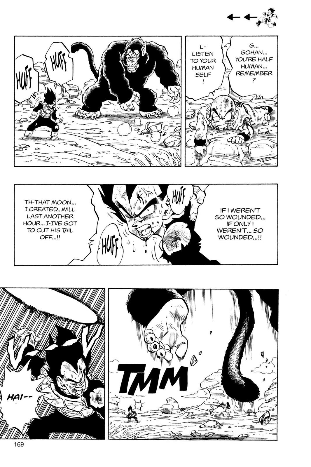 Chapter 46 — Dragon Ball Z 46 — Page 8