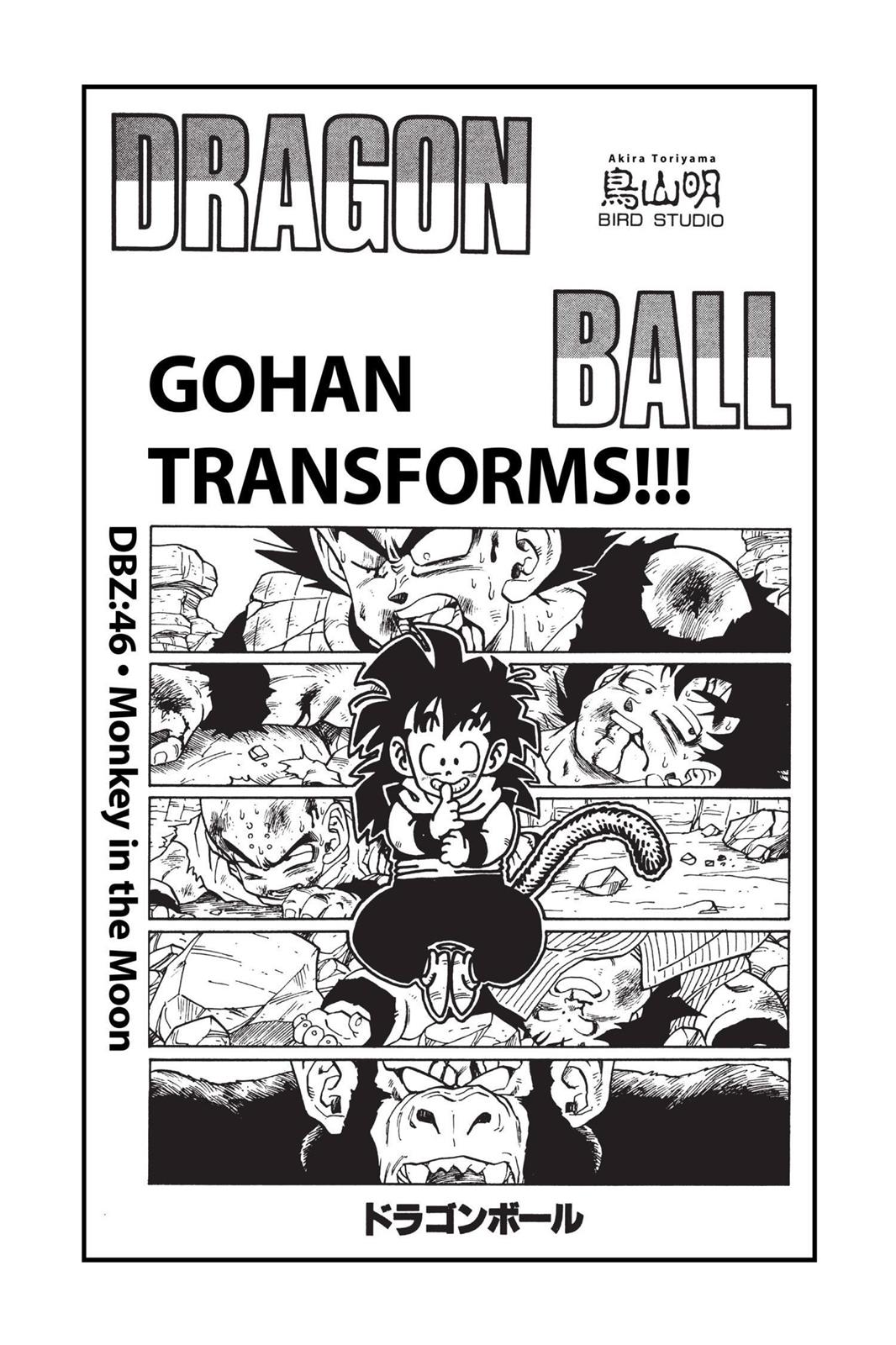 Chapter 46 — Dragon Ball Z 46 — Page 28