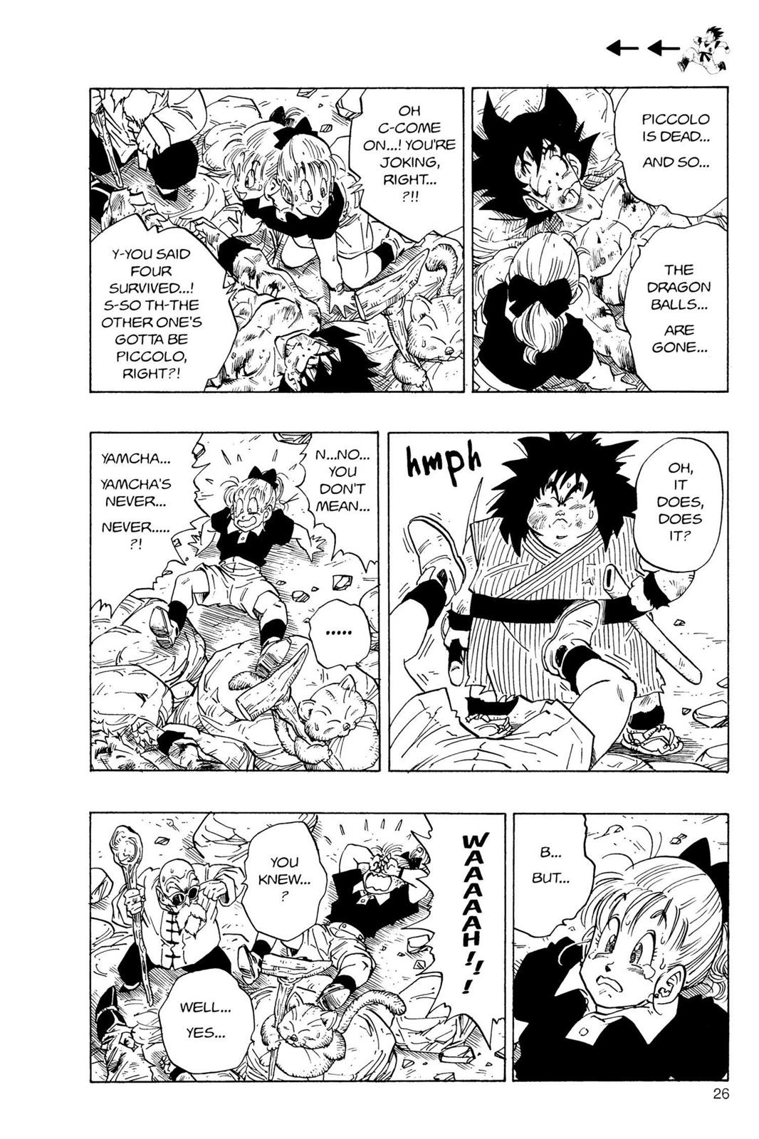 Chapter 48 — Dragon Ball Z 48 — Page 5