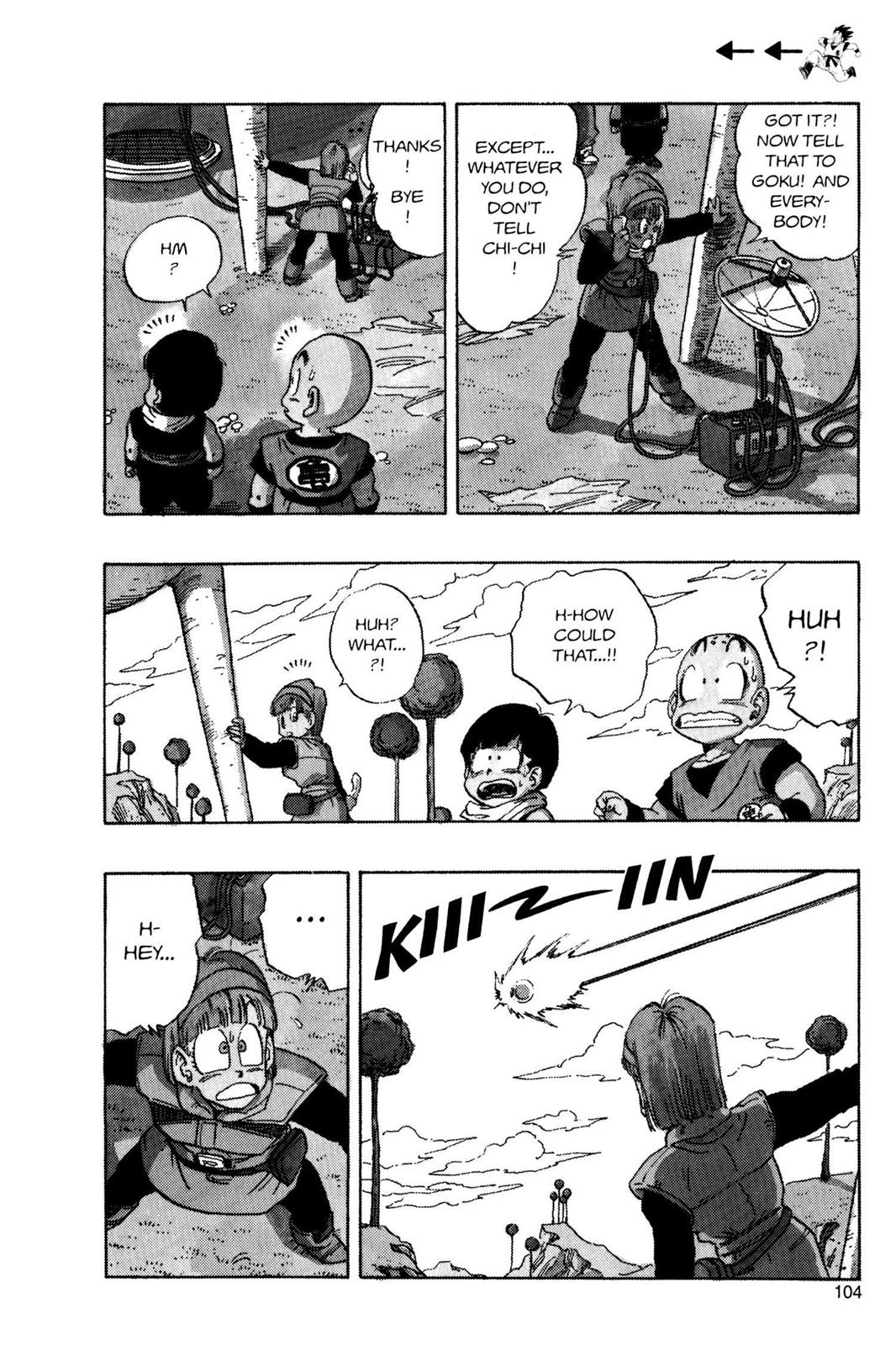 Chapter 53 — Dragon Ball Z 53 — Page 13