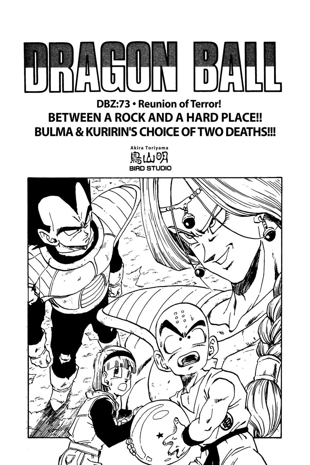 Chapter 82 — Dragon Ball Z 82 — Page 17