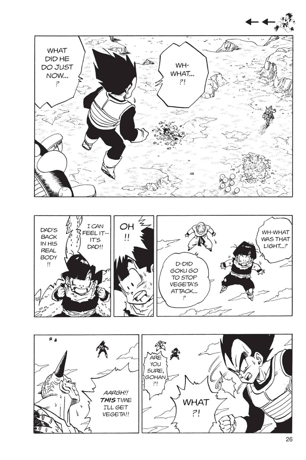 Chapter 96 — Dragon Ball Z 96 — Page 5