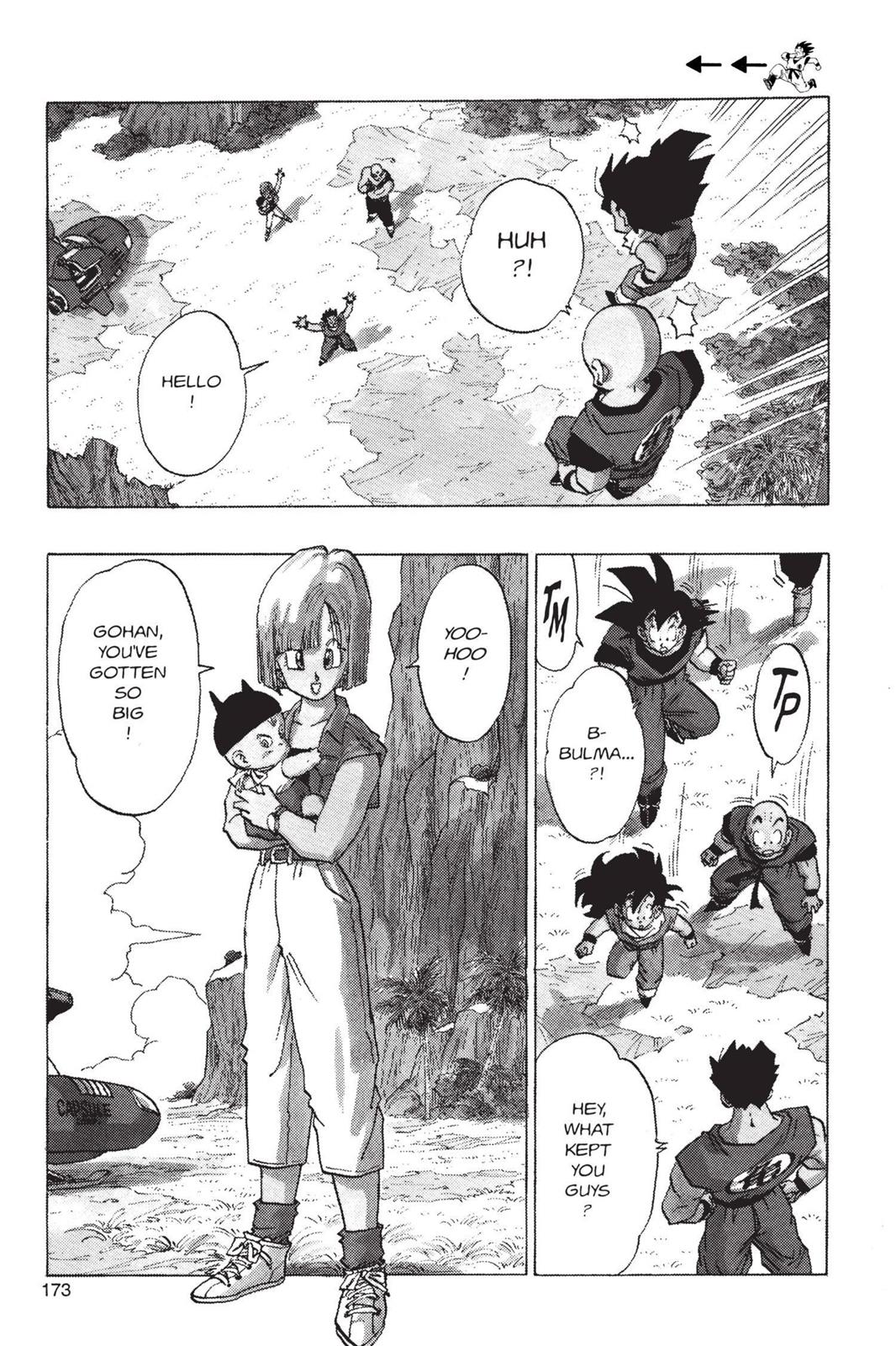 Chapter 143 — Dragon Ball Z 143 — Page 7