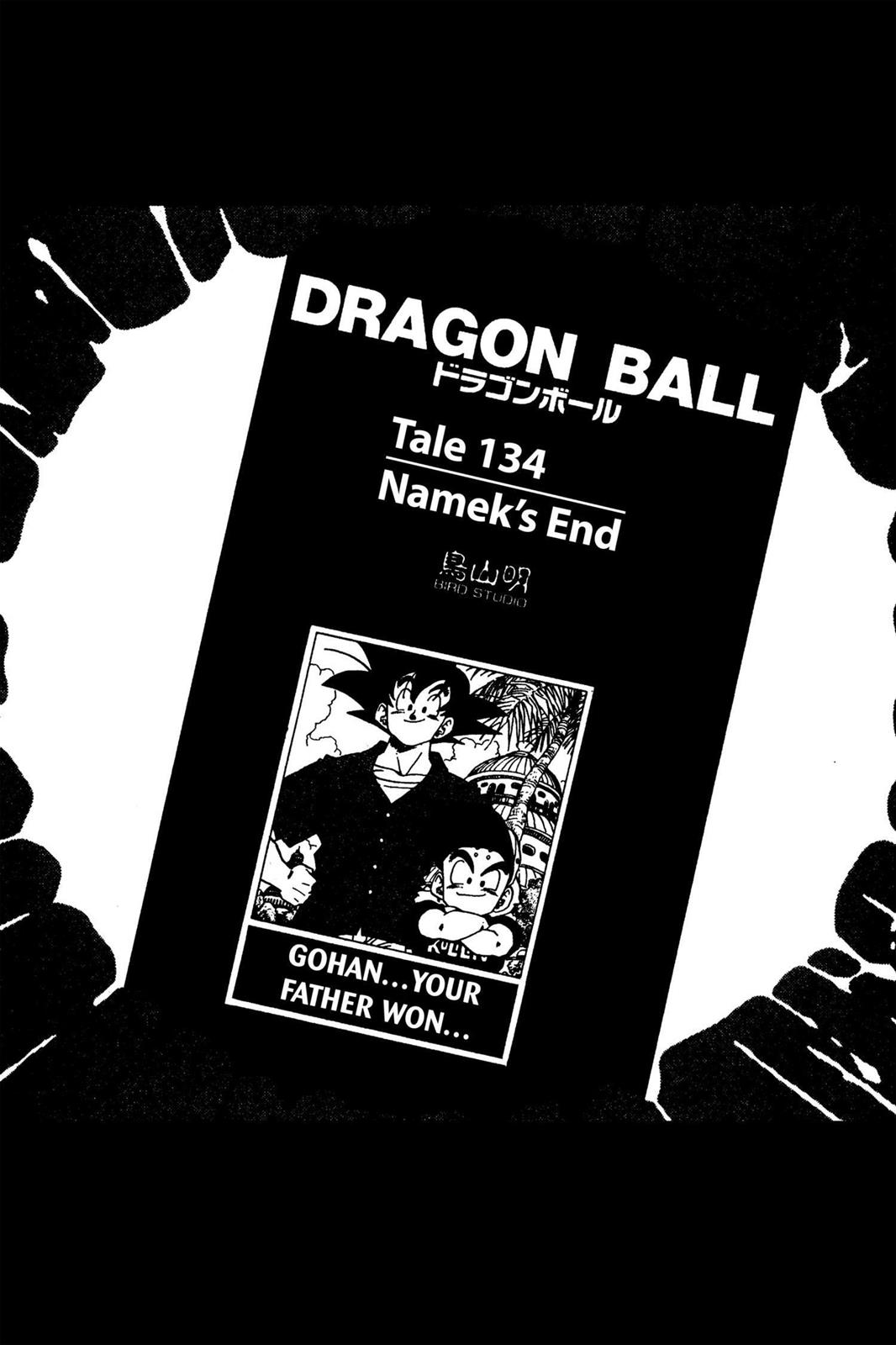 Chapter 143 — Dragon Ball Z 143 — Page 19
