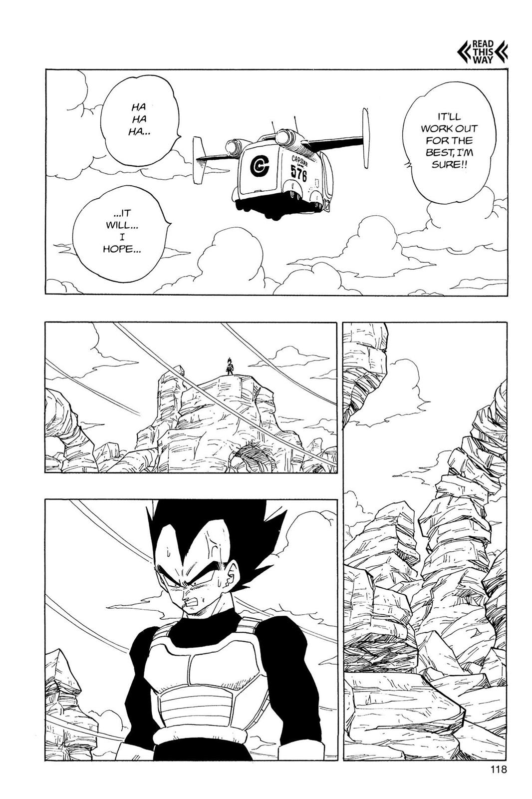 Chapter 163 — Dragon Ball Z 163 — Page 5