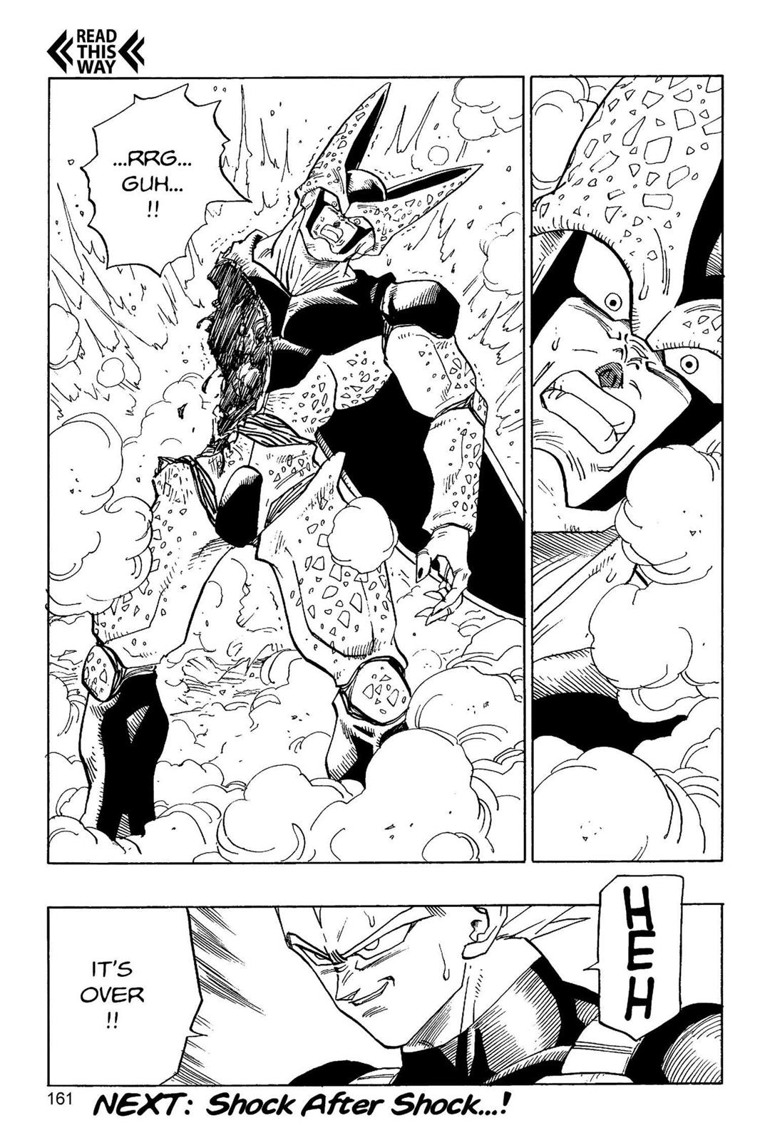 Chapter 190 — Dragon Ball Z 190 — Page 14