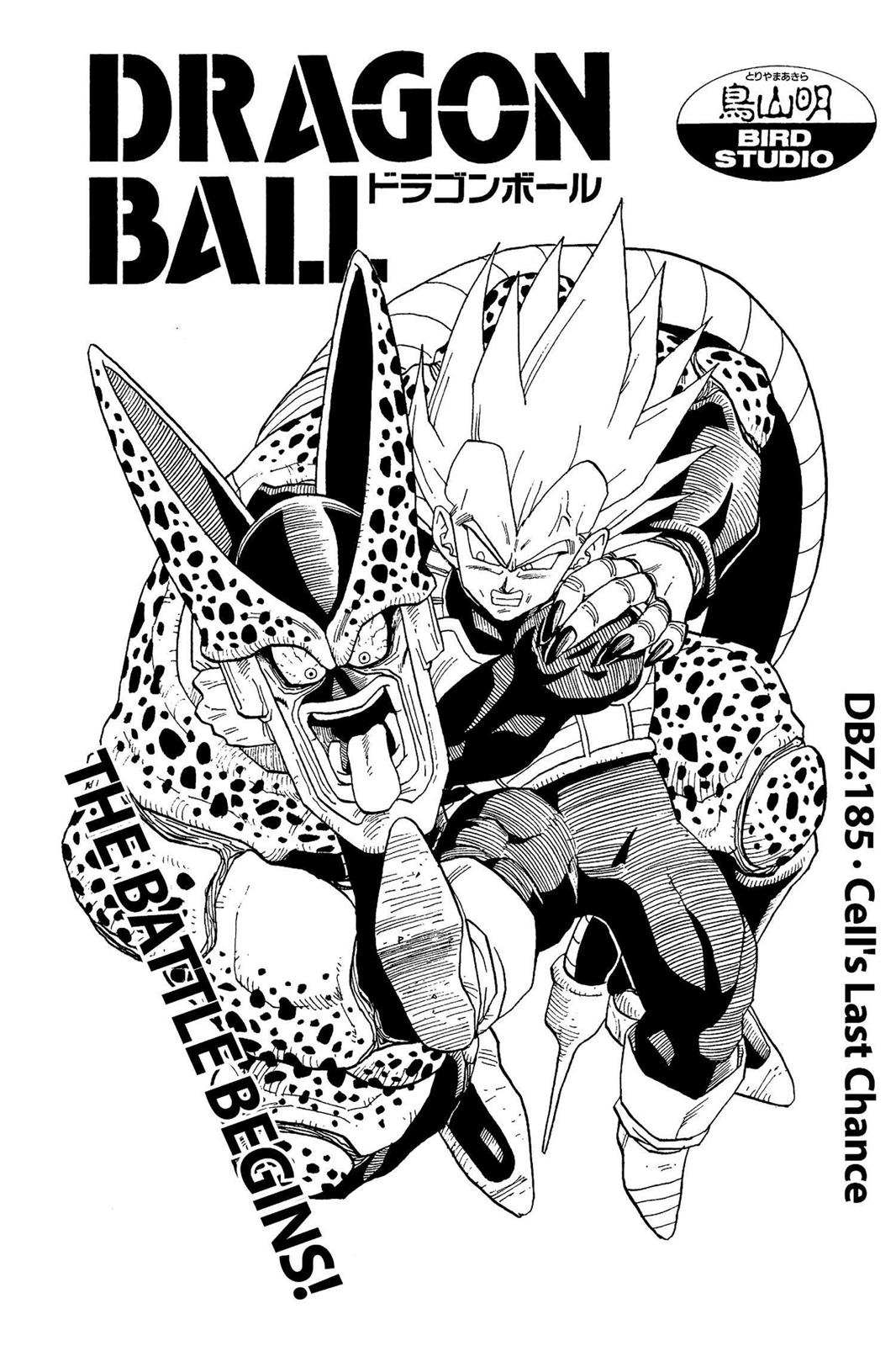 Chapter 191 — Dragon Ball Z 191 — Page 19