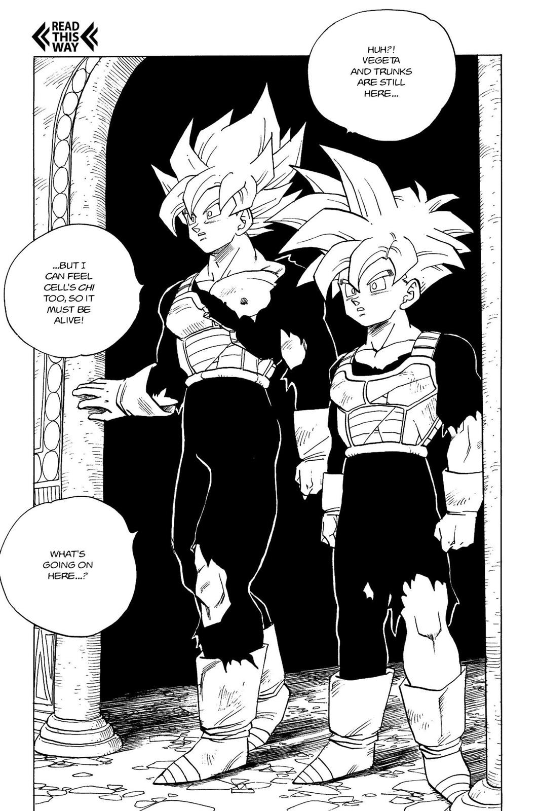 Chapter 196 — Dragon Ball Z 196 — Page 4