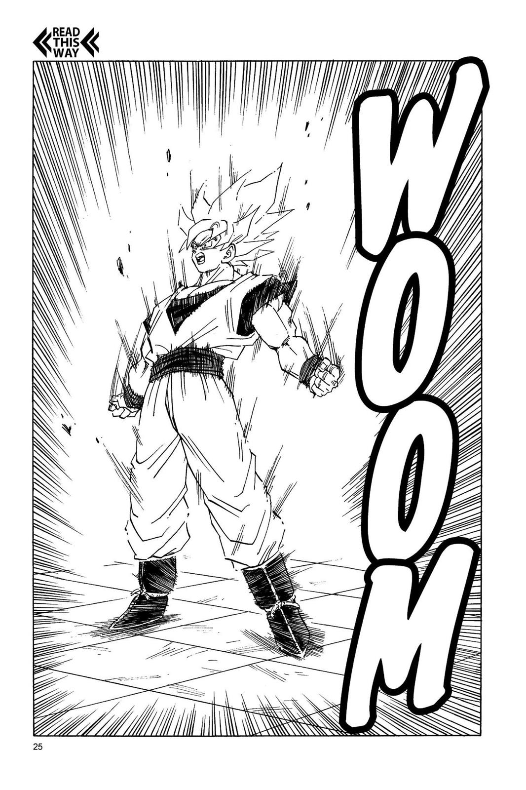 Chapter 204 — Dragon Ball Z 204 — Page 4