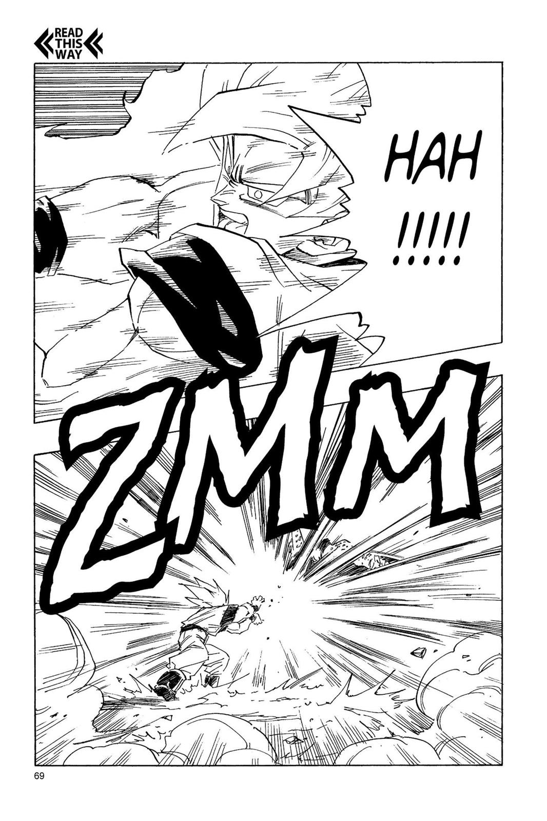 Chapter 207 — Dragon Ball Z 207 — Page 5
