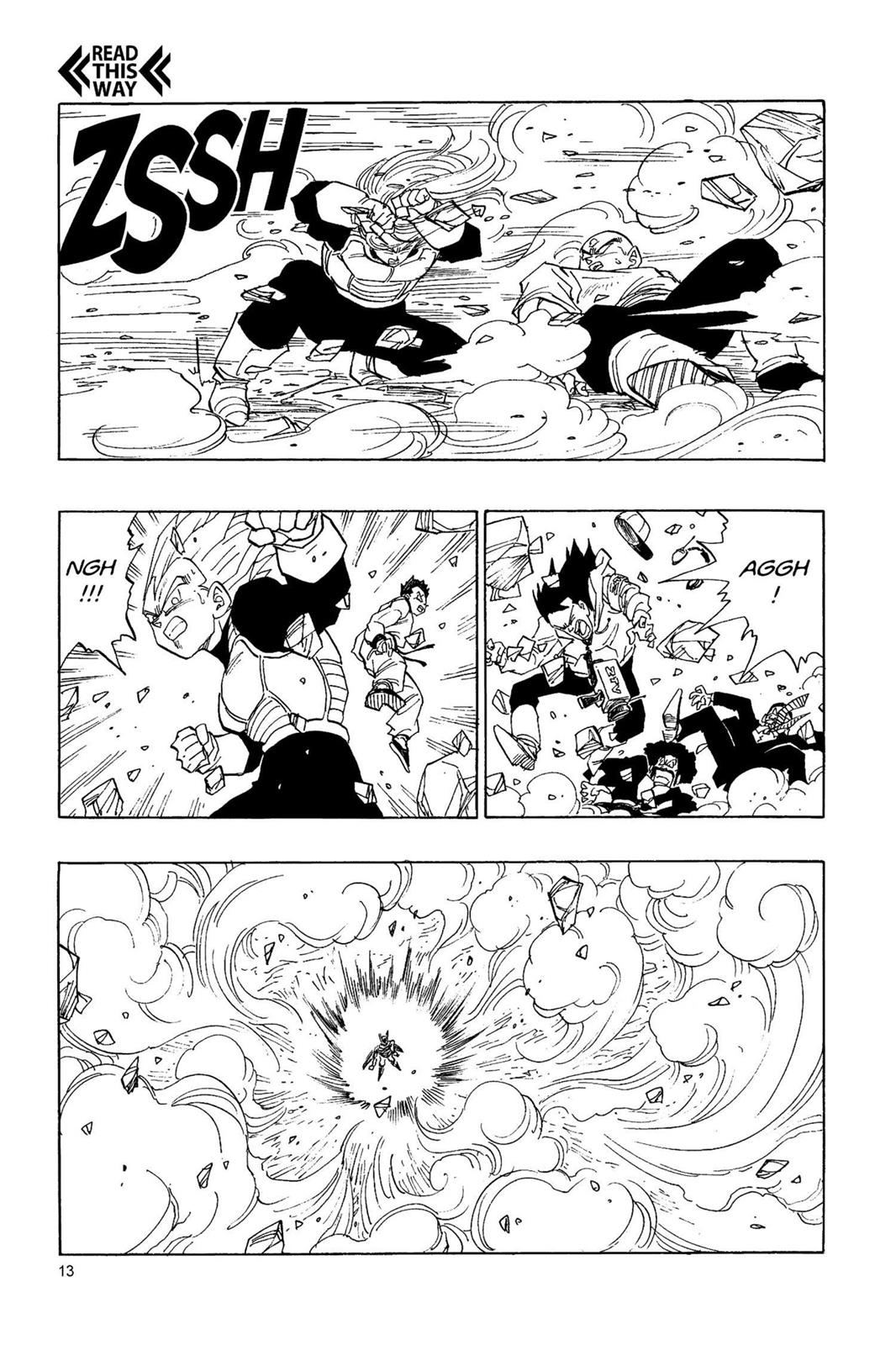 Chapter 215 — Dragon Ball Z 215 — Page 14
