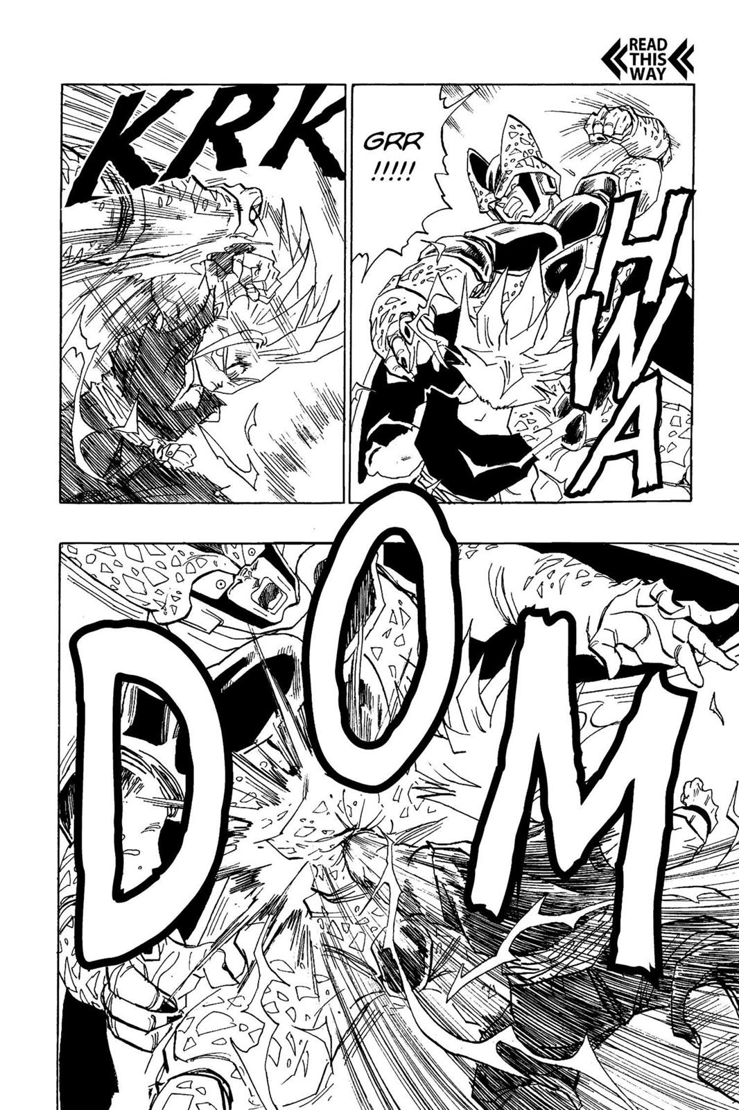 Chapter 215 — Dragon Ball Z 215 — Page 19