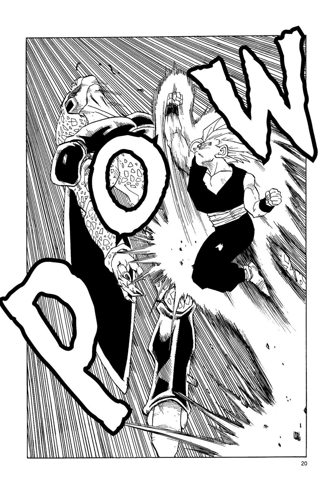 Chapter 215 — Dragon Ball Z 215 — Page 21
