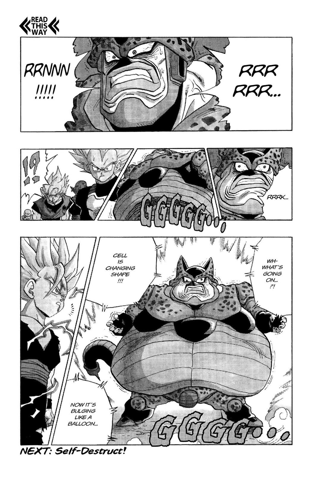 Chapter 217 — Dragon Ball Z 217 — Page 14