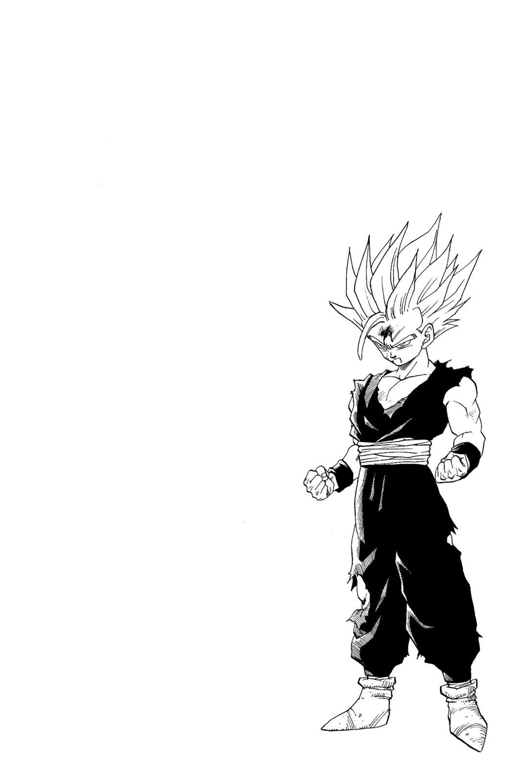 Chapter 219 — Dragon Ball Z 219 — Page 14