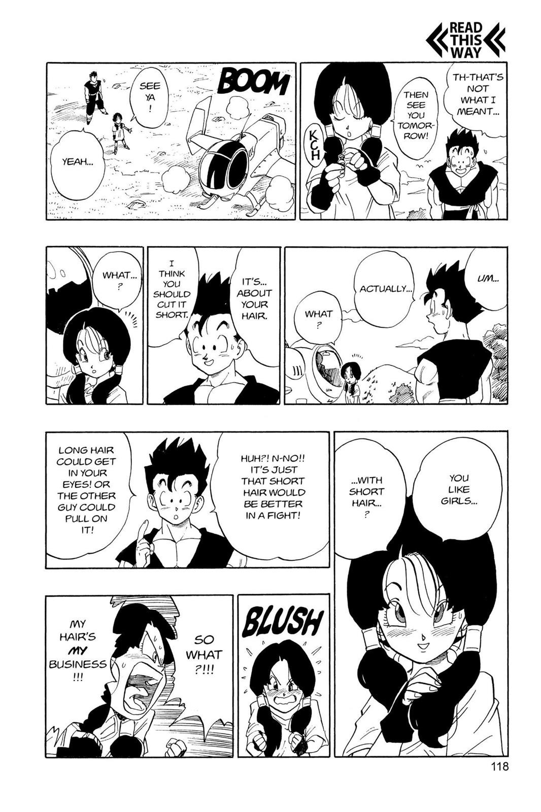 Chapter 234 — Dragon Ball Z 234 — Page 13