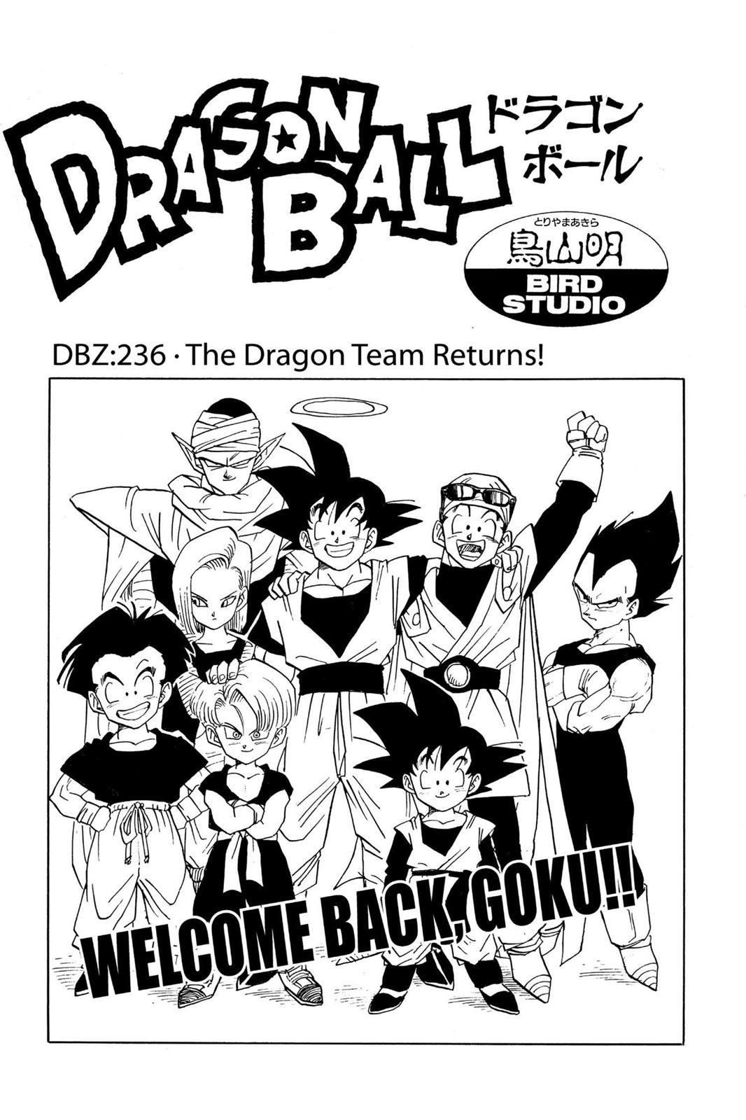 Chapter 238 — Dragon Ball Z 238 — Page 20