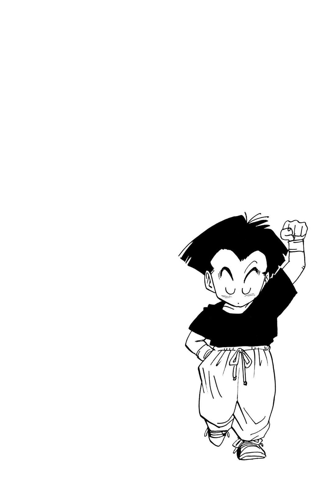 Chapter 245 — Dragon Ball Z 245 — Page 14