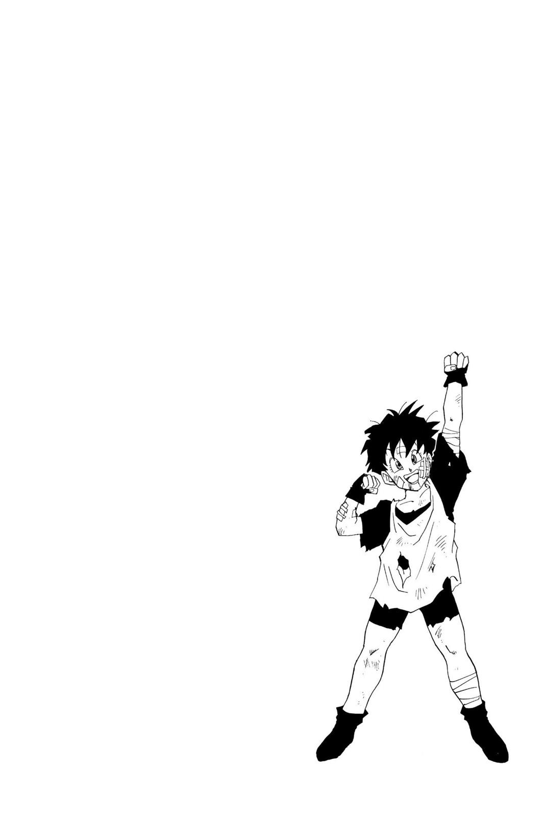 Chapter 249 — Dragon Ball Z 249 — Page 15