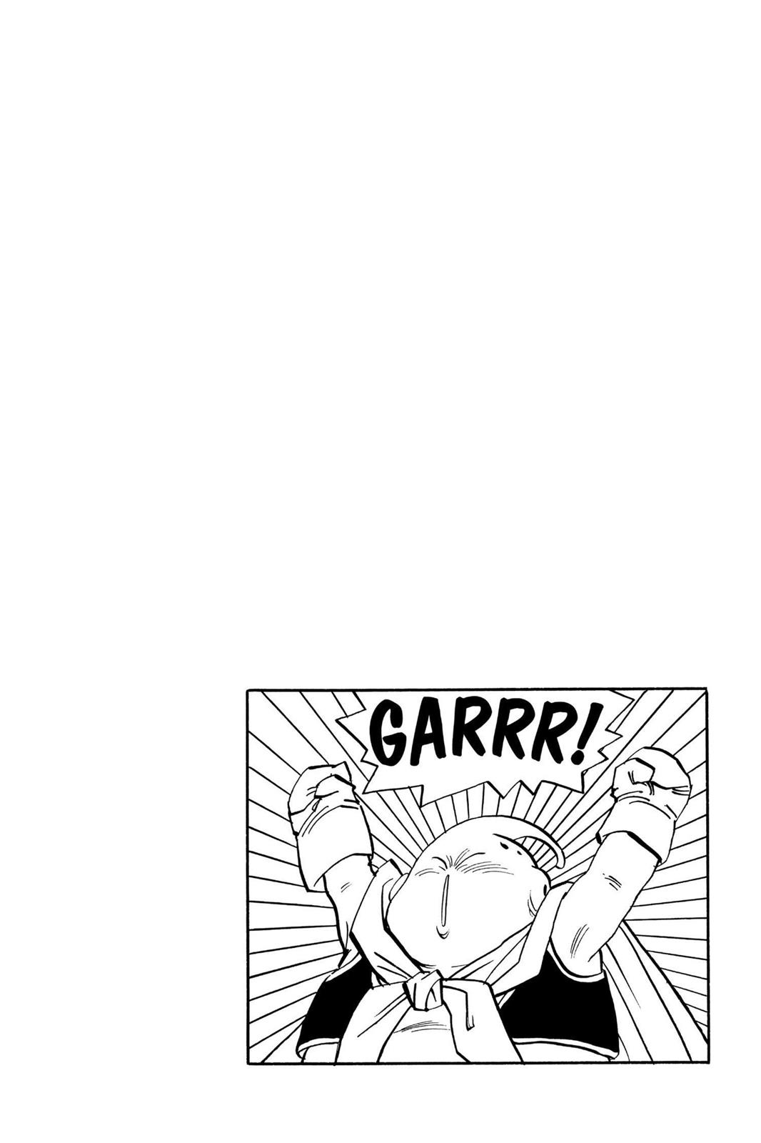 Chapter 267 — Dragon Ball Z 267 — Page 13