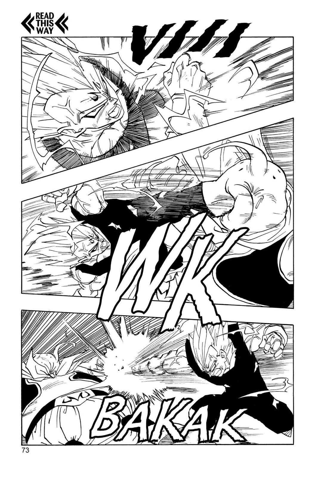 Chapter 270 — Dragon Ball Z 270 — Page 13