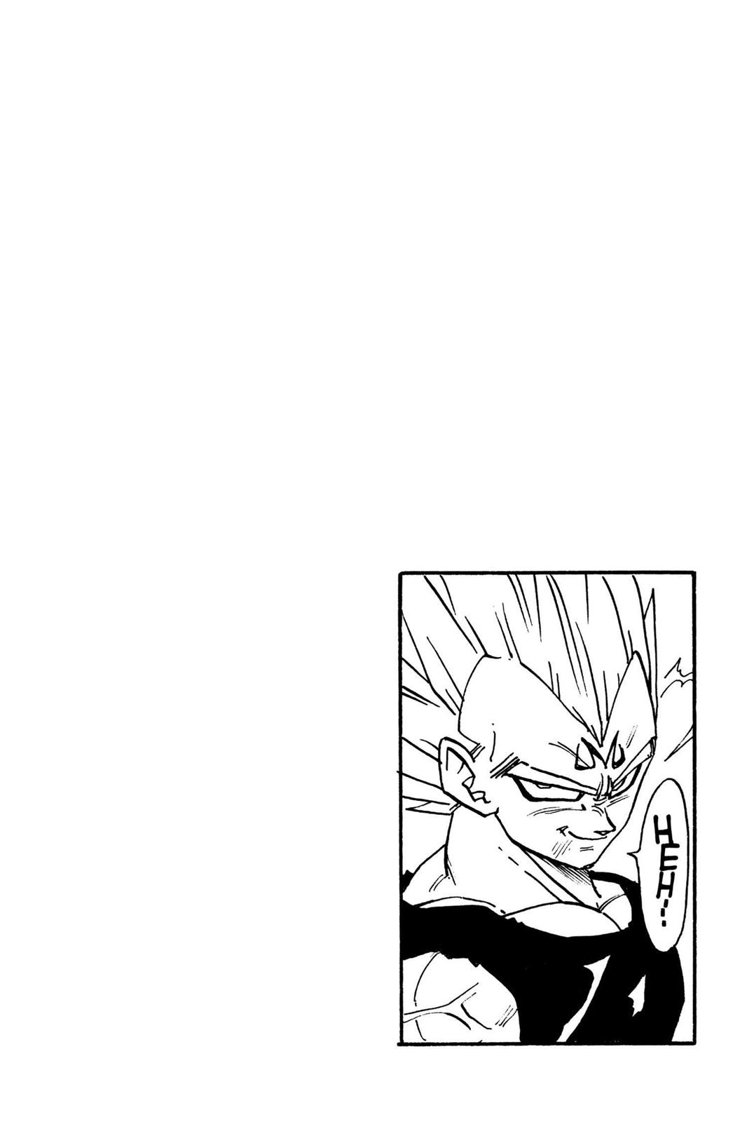 Chapter 271 — Dragon Ball Z 271 — Page 14