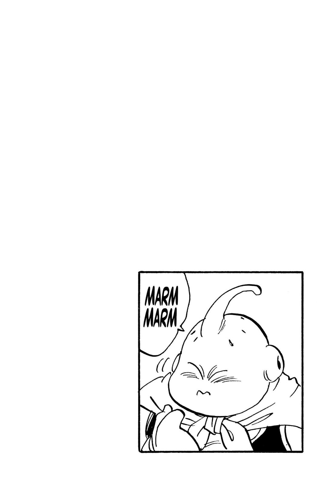 Chapter 288 — Dragon Ball Z 288 — Page 15