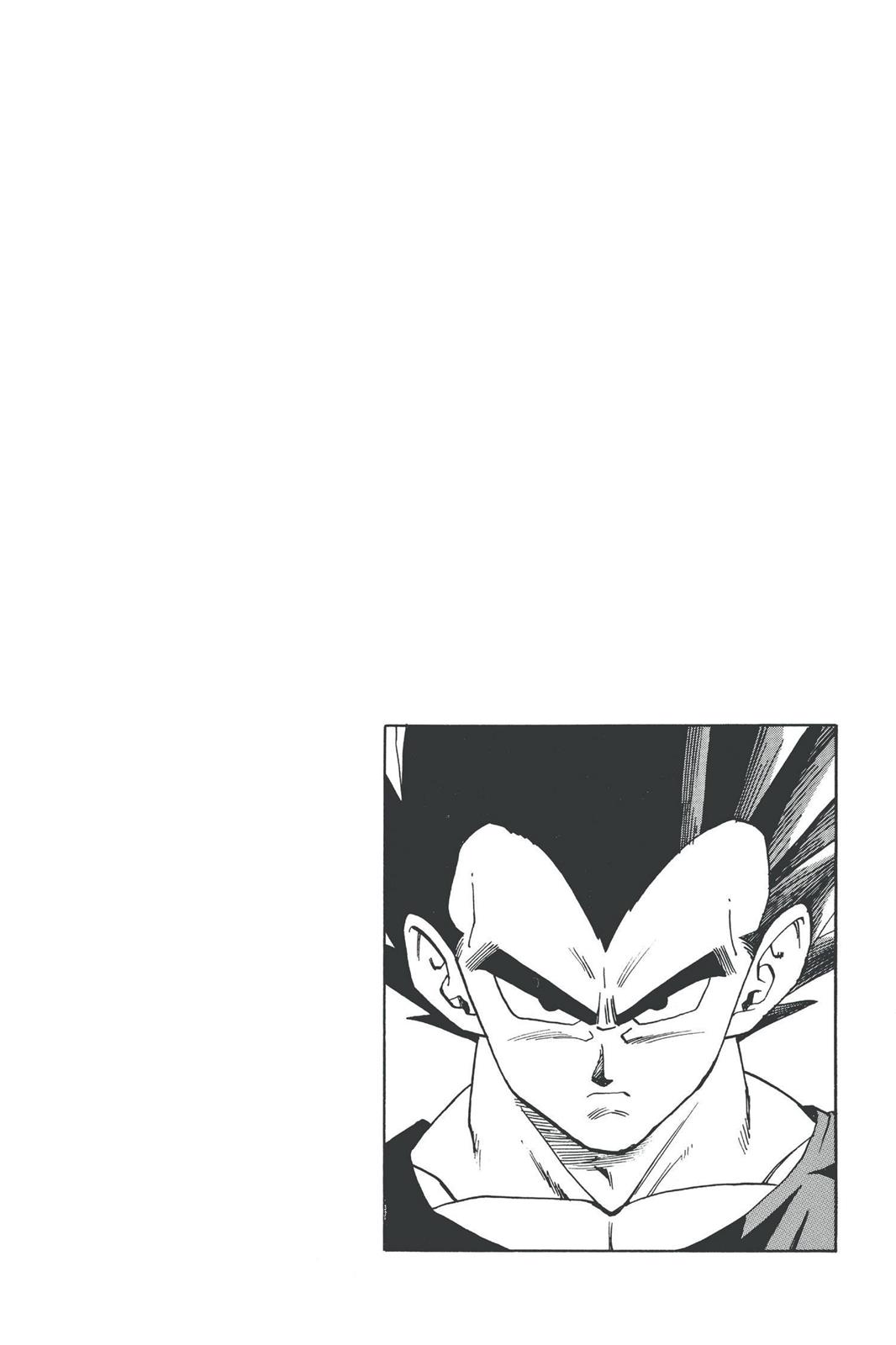 Chapter 309 — Dragon Ball Z 309 — Page 21