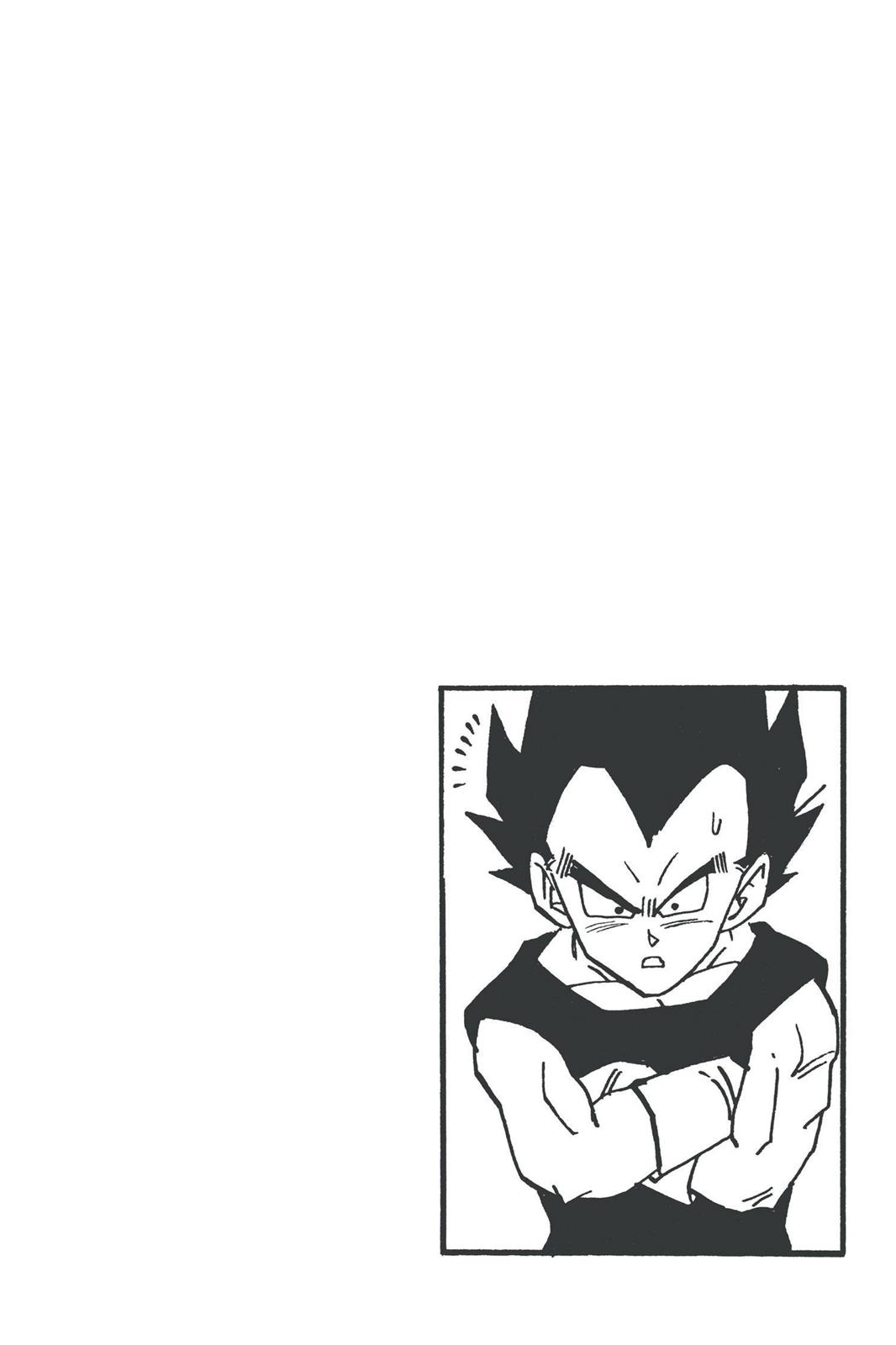 Chapter 312 — Dragon Ball Z 312 — Page 14