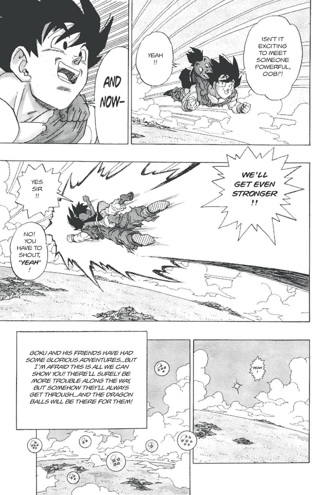 Chapter 325 — Dragon Ball Z 325 — Page 17