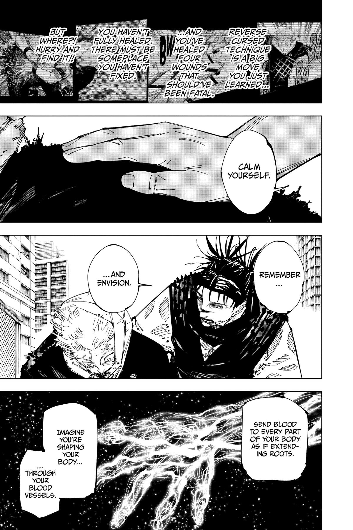 Jujutsu Kaisen Chapter 252